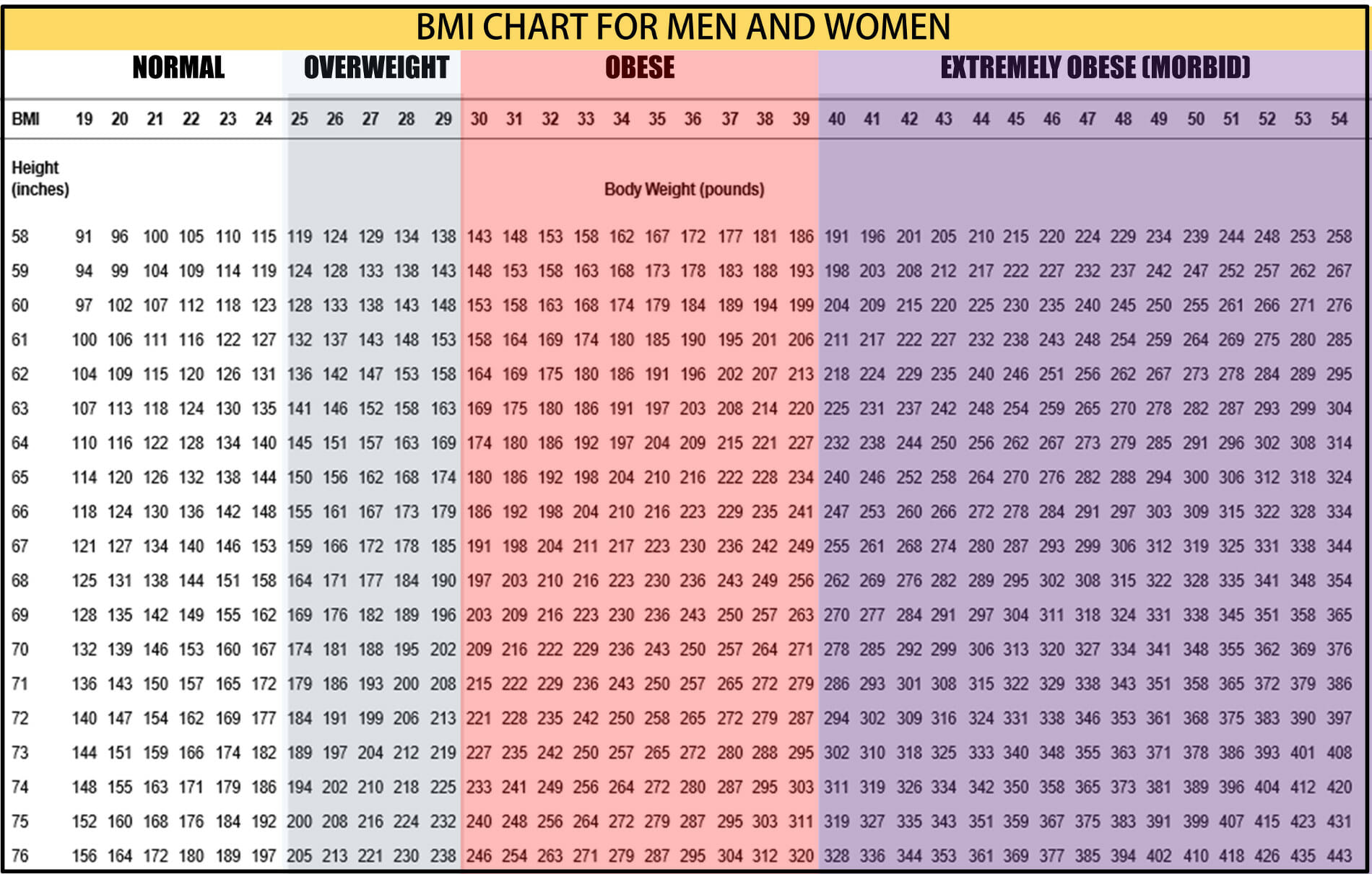 calculate bmi women and calories