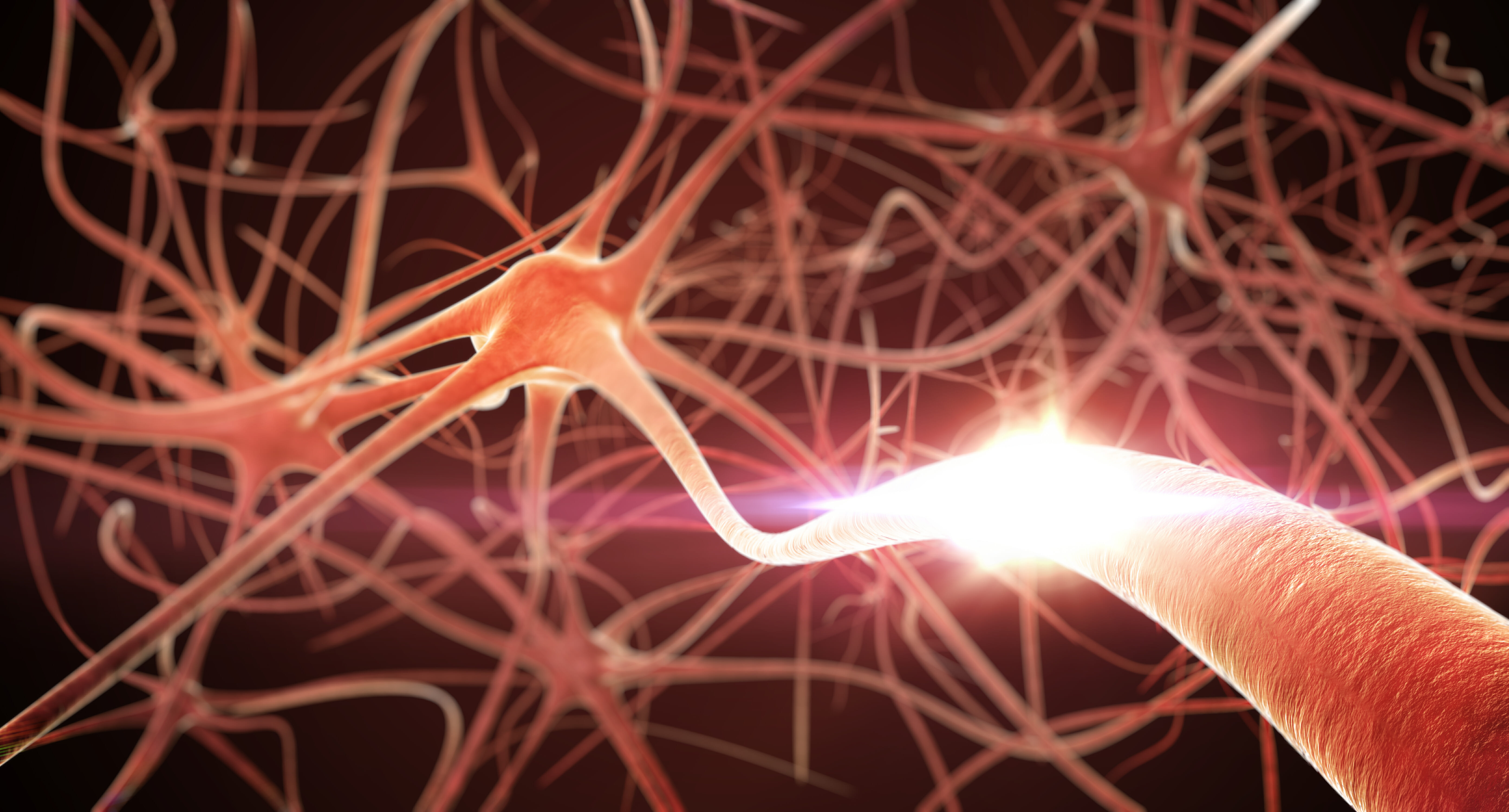 synchronization neuron brain seizure gap junction