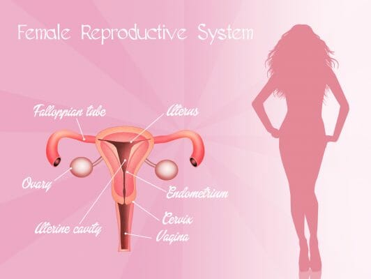 Can A Hysterectomy Reverse Pcos Healthstatus
