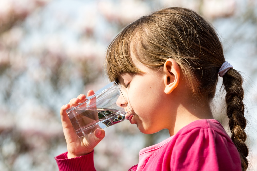 7 Reasons To Invest In A Water Filter - Healthstatus